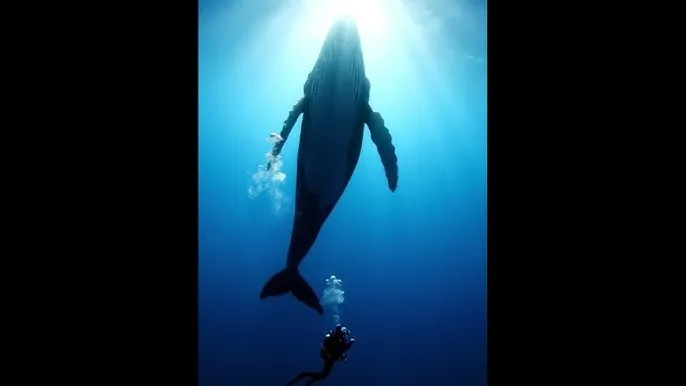 初犬2 - 深蓝星球：探索海洋深处的未知世界